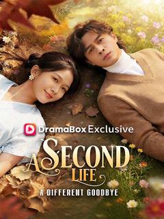 A Second Life, A Different Goodbye poster