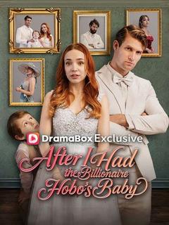 After I Had the Billionaire Hobo's Baby poster