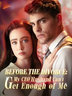 Before the Divorce: My CEO Husband Can't Get Enough of Me poster