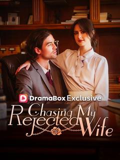 Chasing My Rejected Wife poster