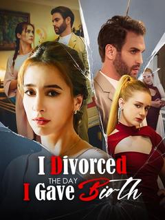 I Divorced the Day I Gave Birth poster