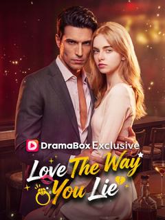 Love The Way You Lie poster