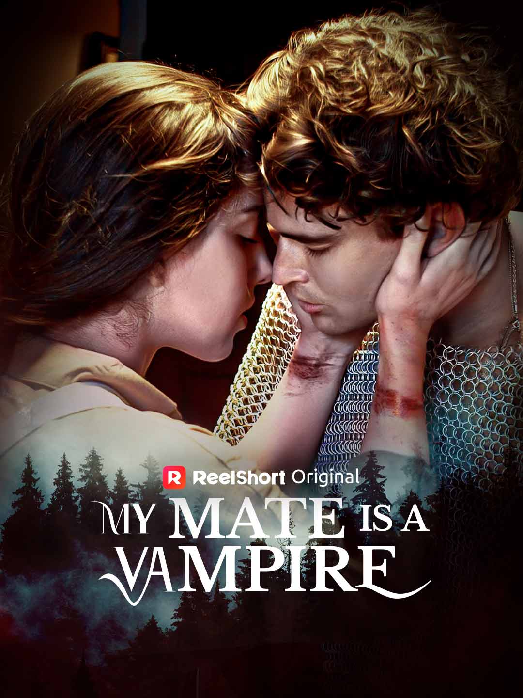 My Mate is a Vampire poster