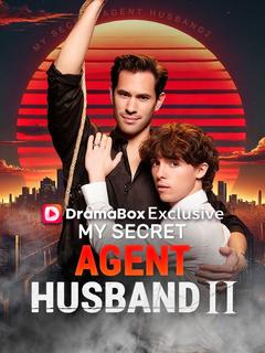 My Secret Agent Husband 2  poster