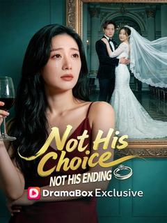 Not His Choice, Not His Ending poster