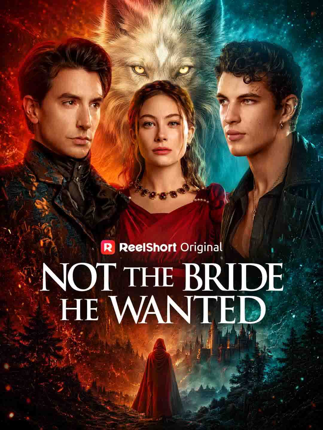 Not the Bride He Wanted poster