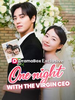 One Night With the Virgin CEO (DUBBED) poster