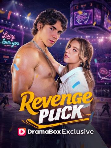 Revenge Puck poster