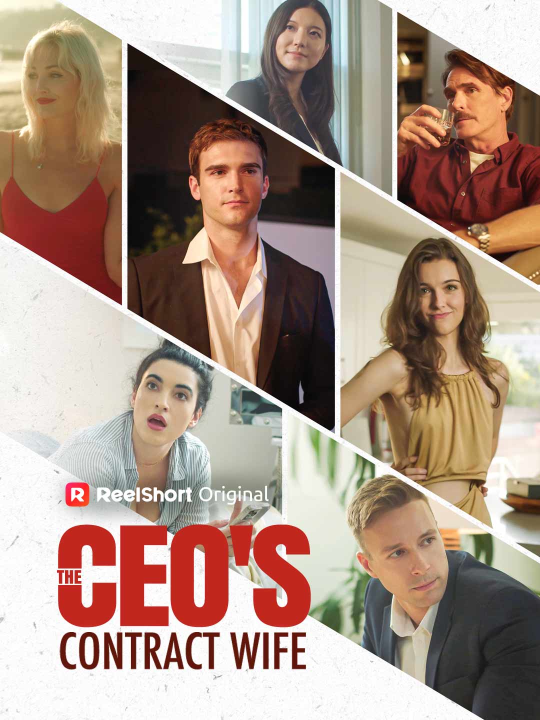 The CEO's Contract Wife poster