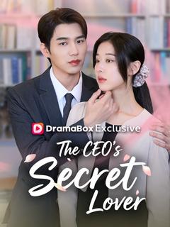 The CEO's Secret Lover poster