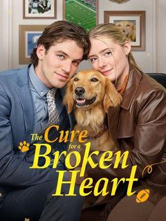 The Cure for a Broken Heart poster