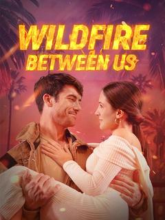 Wildfire Between Us poster